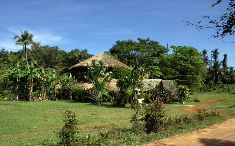 Мечты сбываются или небольшое путешествие: Паттайя-Ко-Чанг-Ко-Мак–Бангкок. Путевые заметки