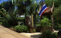 Мечты сбываются или небольшое путешествие: Паттайя-Ко-Чанг-Ко-Мак–Бангкок. Путевые заметки