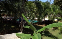 Мечты сбываются или небольшое путешествие: Паттайя-Ко-Чанг-Ко-Мак–Бангкок. Путевые заметки