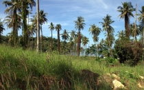 Мечты сбываются или небольшое путешествие: Паттайя-Ко-Чанг-Ко-Мак–Бангкок. Путевые заметки