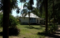 Мечты сбываются или небольшое путешествие: Паттайя-Ко-Чанг-Ко-Мак–Бангкок. Путевые заметки