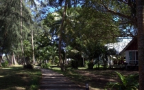 Мечты сбываются или небольшое путешествие: Паттайя-Ко-Чанг-Ко-Мак–Бангкок. Путевые заметки