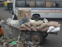 Индия. Дели и Варанаси.