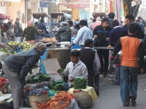 Индия. Дели и Варанаси.