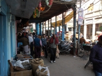 Индия. Дели и Варанаси.