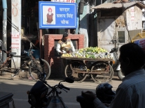 Индия. Дели и Варанаси.