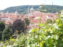 Европа показалась маленькой