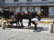 Европа показалась маленькой