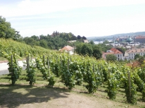 Европа показалась маленькой