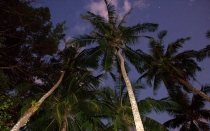 Мечты сбываются или небольшое путешествие: Паттайя-Ко-Чанг-Ко-Мак–Бангкок. Путевые заметки