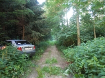 Европа показалась маленькой