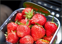 Франция, осень 2012