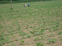 Европа показалась маленькой