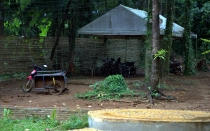 Мечты сбываются или небольшое путешествие: Паттайя-Ко-Чанг-Ко-Мак–Бангкок. Путевые заметки