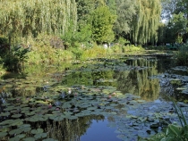 знаменитый пруд с кувшинками