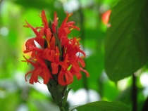 Южная Америка вдоль и поперек - часть 1 Бразилия