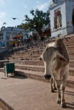 Как я поехала в Индию в одиночку и что из этого вышло
