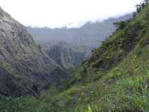 Остров детства Ile de la Reunion. Отчет 2007 года.