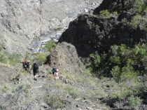 Остров детства Ile de la Reunion. Отчет 2007 года.