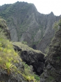 Остров детства Ile de la Reunion. Отчет 2007 года.