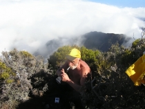 Остров детства Ile de la Reunion. Отчет 2007 года.