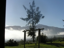 Остров детства Ile de la Reunion. Отчет 2007 года. Остров детства Ile de la Reunion. Отчет 2007 года.