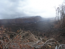 Остров детства Ile de la Reunion. Отчет 2007 года.