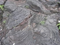 Остров детства Ile de la Reunion. Отчет 2007 года.