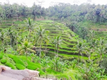 Ява - Бали - Гили, сентябрь 2012