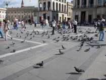 Северная Италия (Милан-Гарда-Верона)