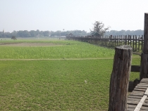 Мьянма (Мандалай, Баган, Янгон) -  Январь 2013 + фото