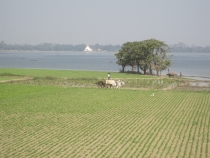 Мьянма (Мандалай, Баган, Янгон) -  Январь 2013 + фото