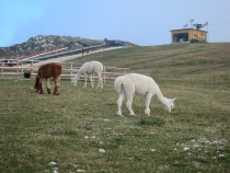 Северная Италия (Милан-Гарда-Верона)