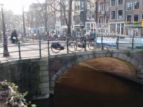 Что делать в Амстердаме с ребенком