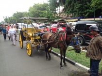 Ява и Бали на Новый Год 2013