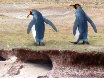 По дороге на пляж 2