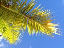 BVI_2012-29