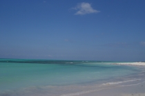 Кайо-Левиса