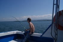 Кайо-Левиса