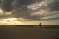 Кайо-Левиса