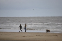 Весенний Амстердам с заездом в Брюгге i Zandvoort