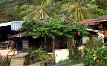 Мечты сбываются или небольшое путешествие: Паттайя-Ко-Чанг-Ко-Мак–Бангкок. Путевые заметки