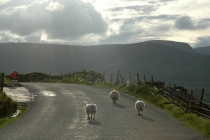 Путешествие по Ирландии, лето 2012