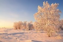 Путеводитель по Салехарду, фото Салехарда