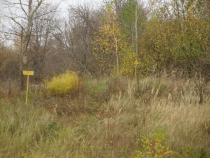 Чернобыль, зона отчуждения, октябрь 2008