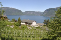 Langfoss и далее: (Rosendal, Buskerud, Rjukan, Månafossen) Langfoss и далее: (Rosendal, Buskerud, Rjukan, Månafossen)