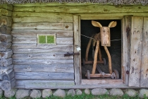 DSC01743 [1024x768].JPG