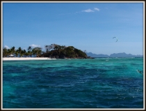 В поисках уединения. Январь 2013: El Nido-Malcapuya-Chindonan Island-Bohol (Anda+Panglao)