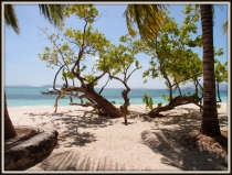 В поисках уединения. Январь 2013: El Nido-Malcapuya-Chindonan Island-Bohol (Anda+Panglao)