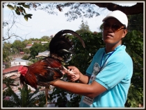 В поисках уединения. Январь 2013: El Nido-Malcapuya-Chindonan Island-Bohol (Anda+Panglao)